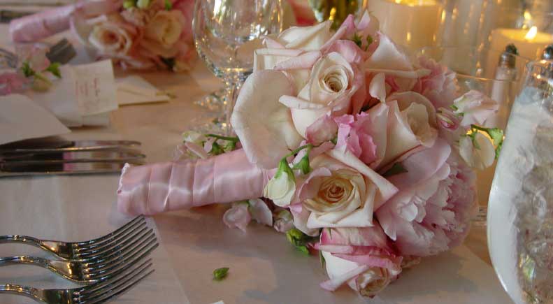 timeless<br />elegance<br />
